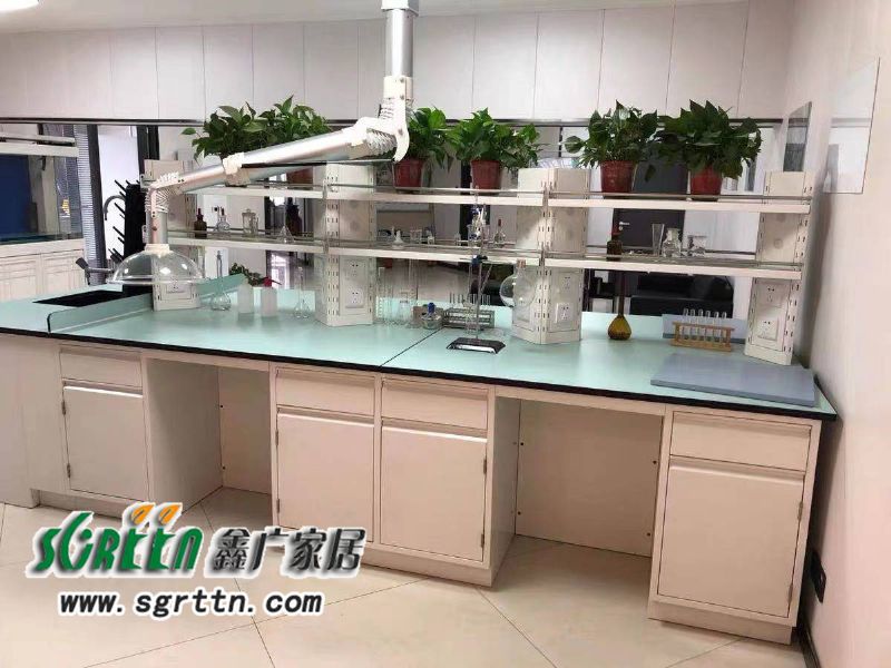 化驗(yàn)室pp操作臺(tái)，實(shí)驗(yàn)臺(tái)鋼木化學(xué)試驗(yàn)桌，工作臺(tái)學(xué)校通風(fēng)柜，全鋼試驗(yàn)臺(tái)