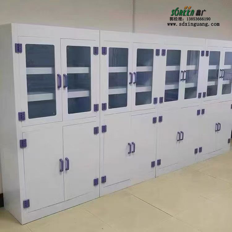 濰坊實(shí)驗(yàn)室家具pp試劑柜實(shí)驗(yàn)室器皿柜供應(yīng)