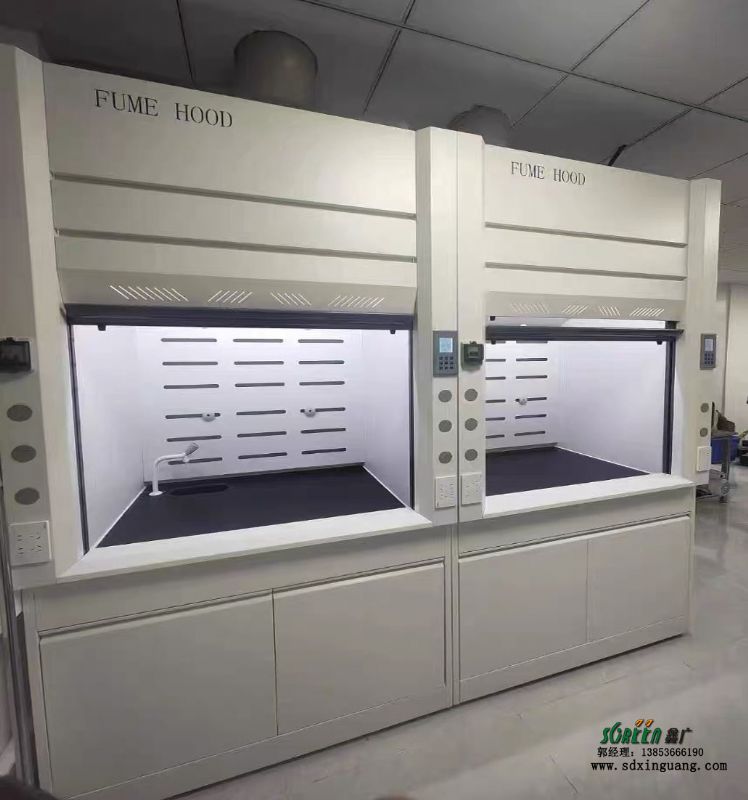 山東實驗室通風柜廠家實驗臺廠家供應